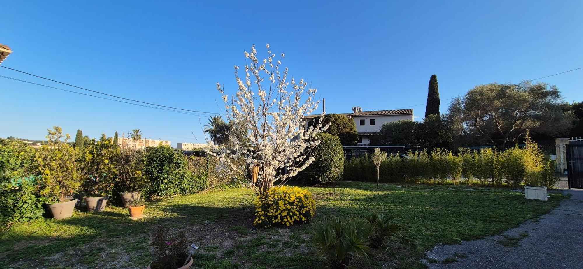 Studio Independant Avec Terrasse A Juan Les Pins Antibes Dış mekan fotoğraf